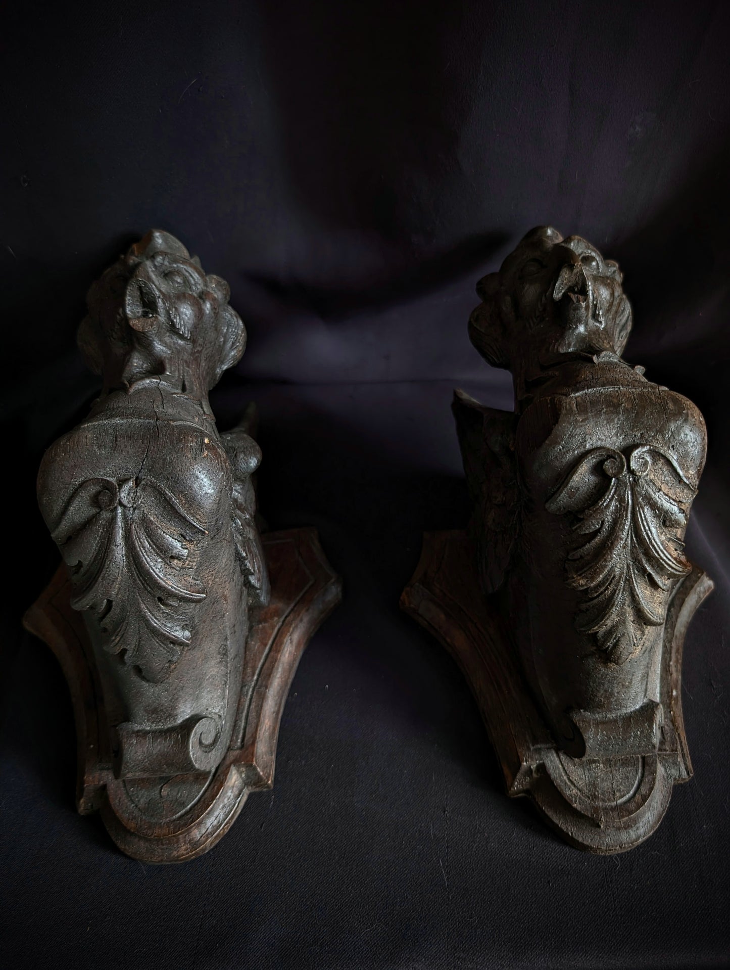 A Pair of Mid-19th Century Carved Wooden Manor Griffins with a Skull and Humerus from an old cabinet of curiosities in Bohemia (Czech Republic)