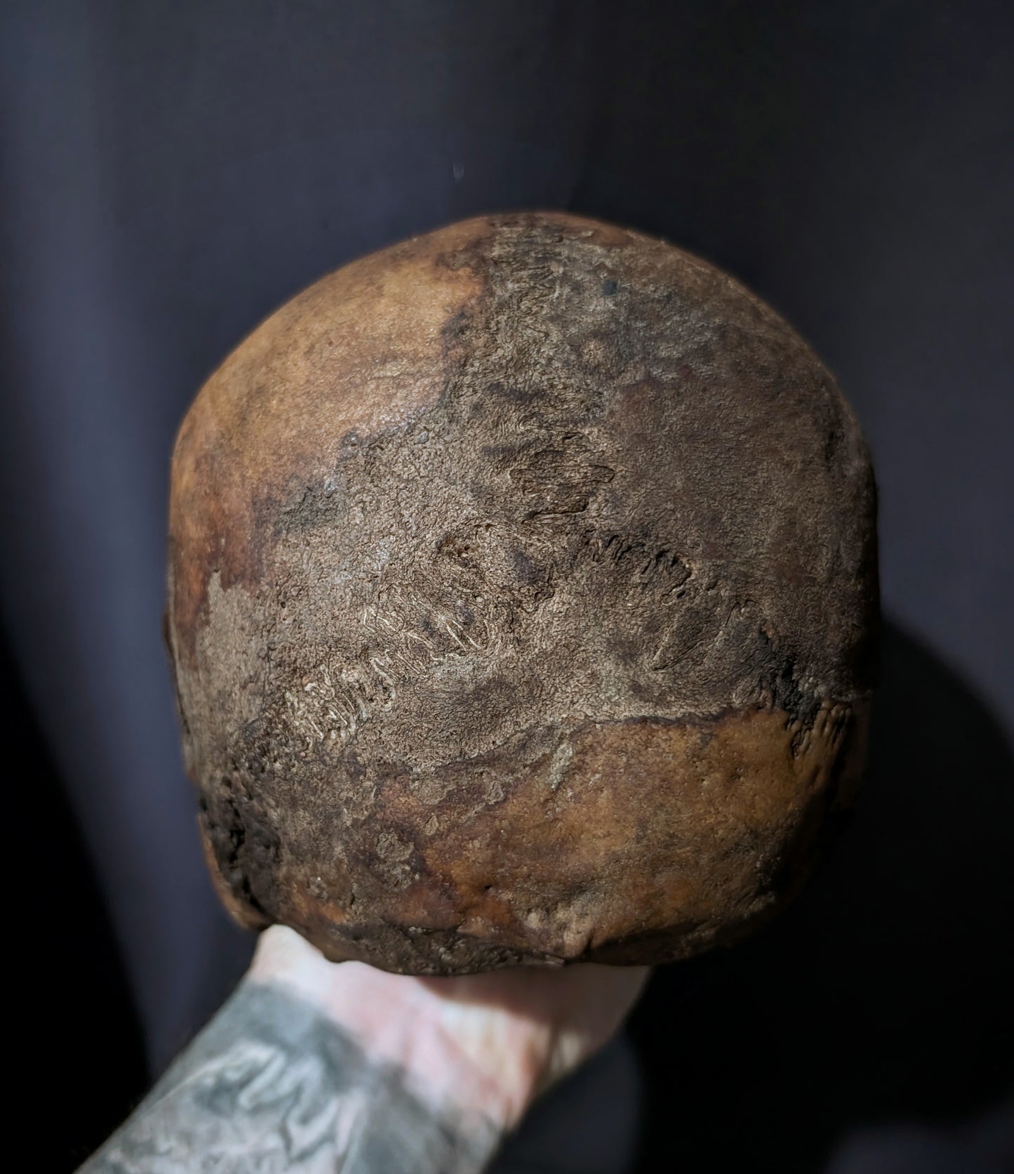 Memento mori skull with femurs (with dark patina) from Italy