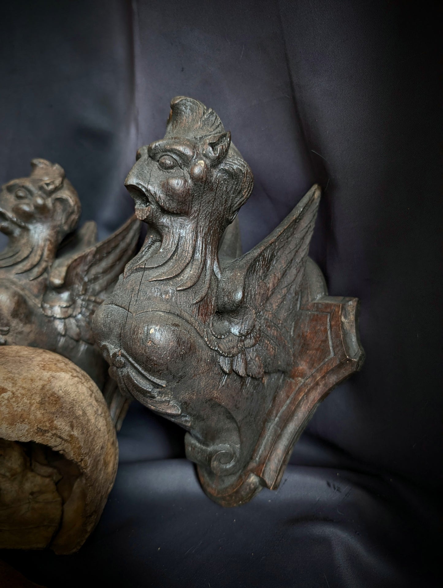 A Pair of Mid-19th Century Carved Wooden Manor Griffins with a Skull and Humerus from an old cabinet of curiosities in Bohemia (Czech Republic)