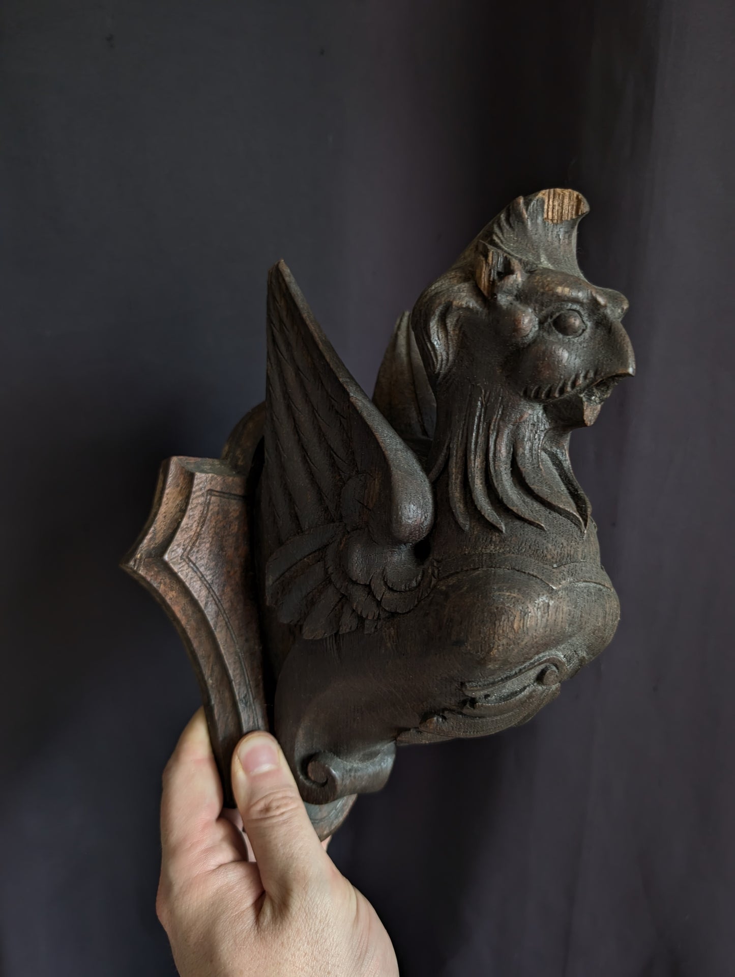A Pair of Mid-19th Century Carved Wooden Manor Griffins with a Skull and Humerus from an old cabinet of curiosities in Bohemia (Czech Republic)