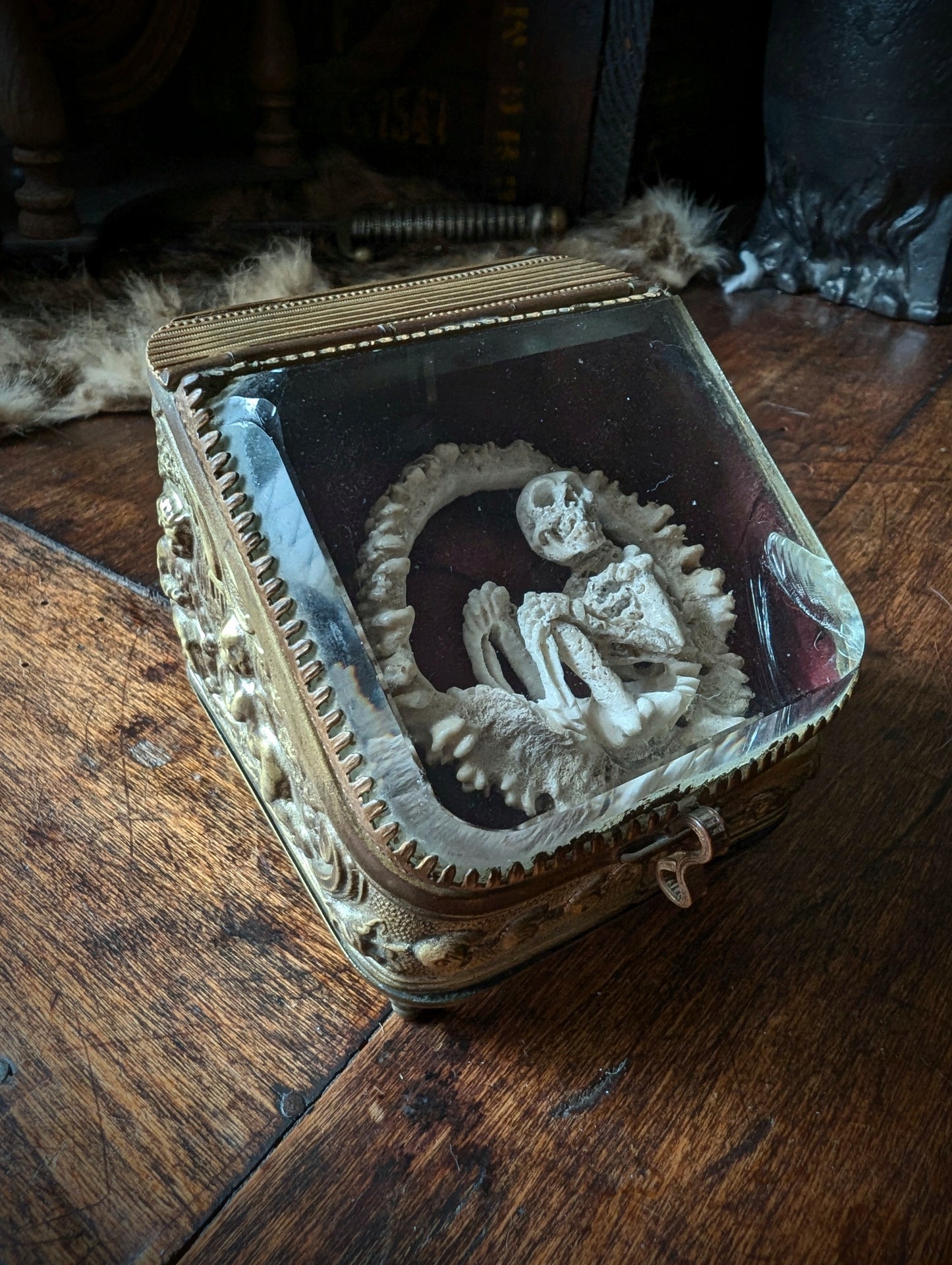 Memento mori / Hand-Carved Skeleton Figure in Deer Antler – Antique Glass Display Casket