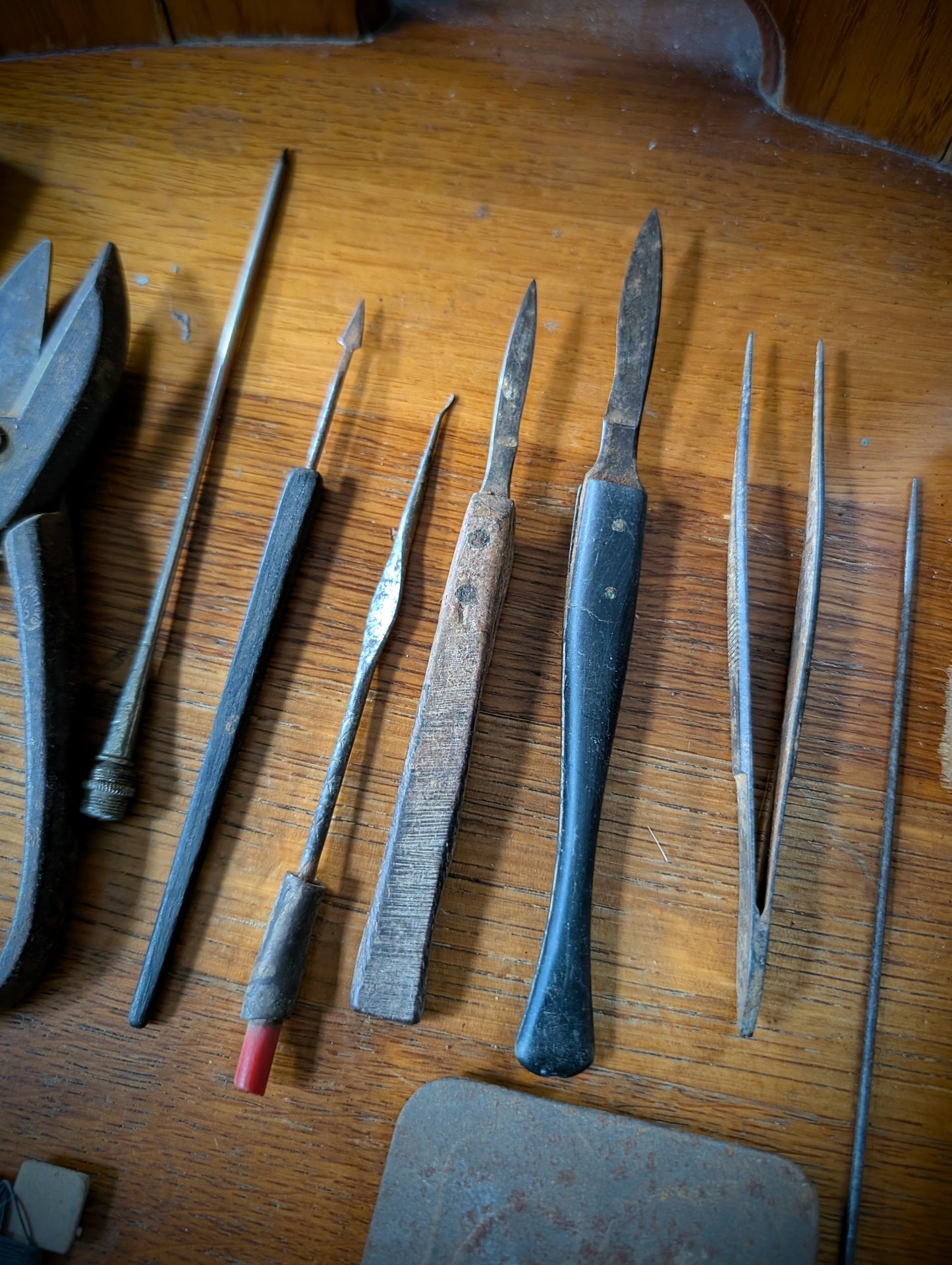 Set of antique taxidermist tools from the 1970s