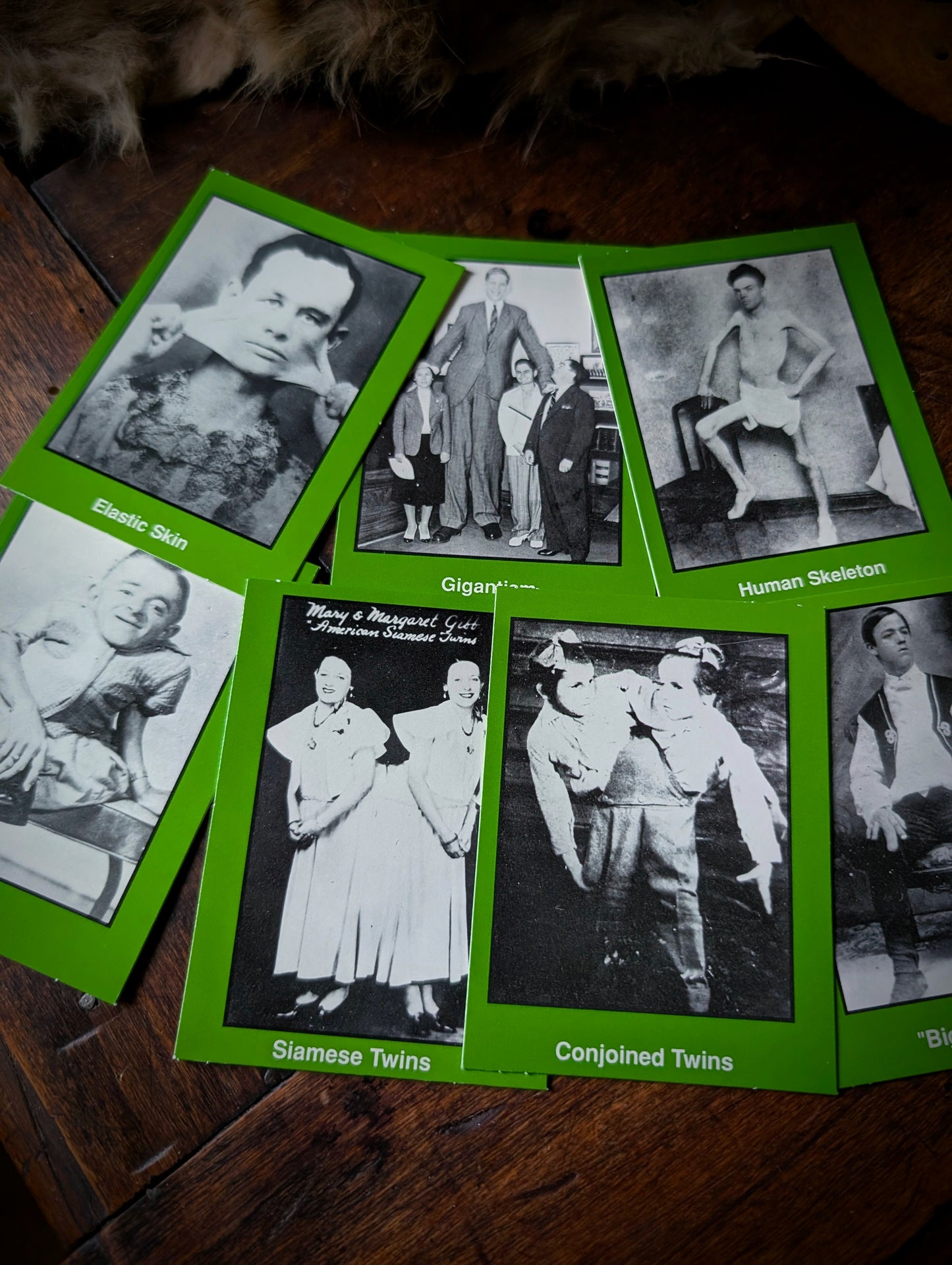 “Human Freaks and Oddities” card box (series 2) from 1991, USA