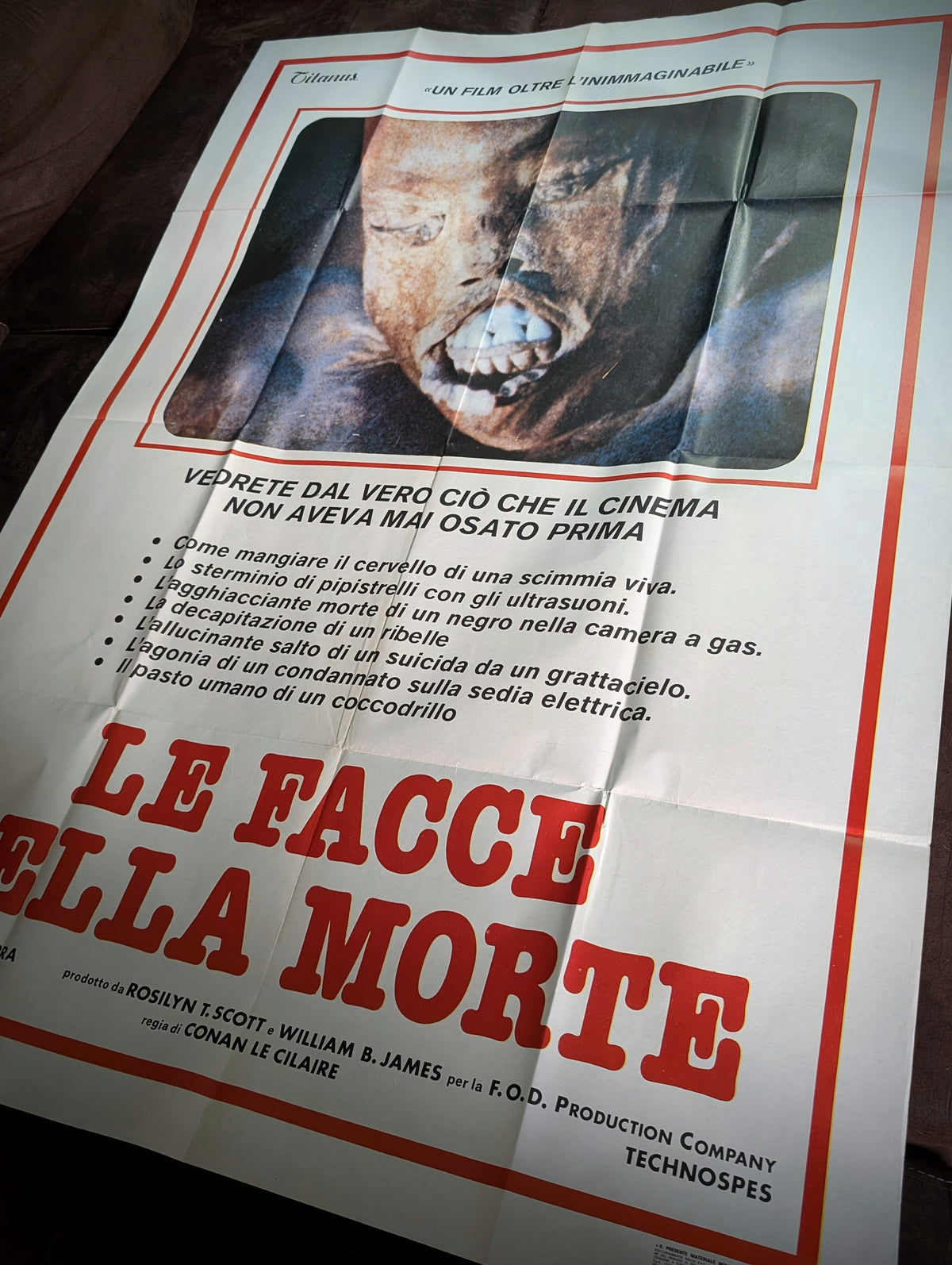 Rare Original 1981 Italian Movie Poster  "Le Facce della Morte" (Faces of Death, 1978) Mondo/Shockumentary  (100 × 140 cm)