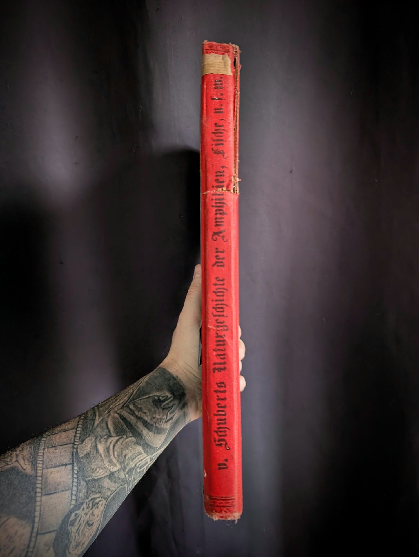 Old German book from 1886 "Naturgeschichte der Reptilien, Amphibien, Fische, Insekten.." by Dr Schubert