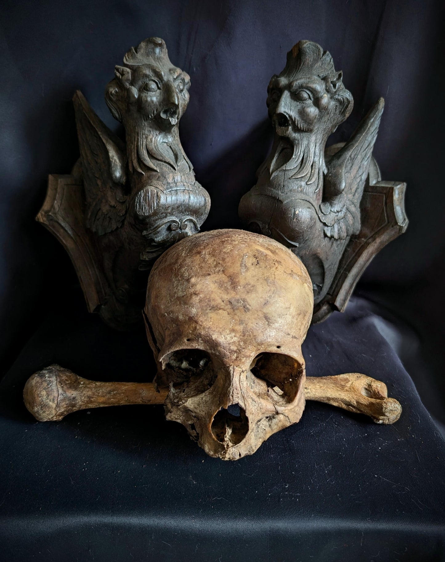 A Pair of Mid-19th Century Carved Wooden Manor Griffins with a Skull and Humerus from an old cabinet of curiosities in Bohemia (Czech Republic)