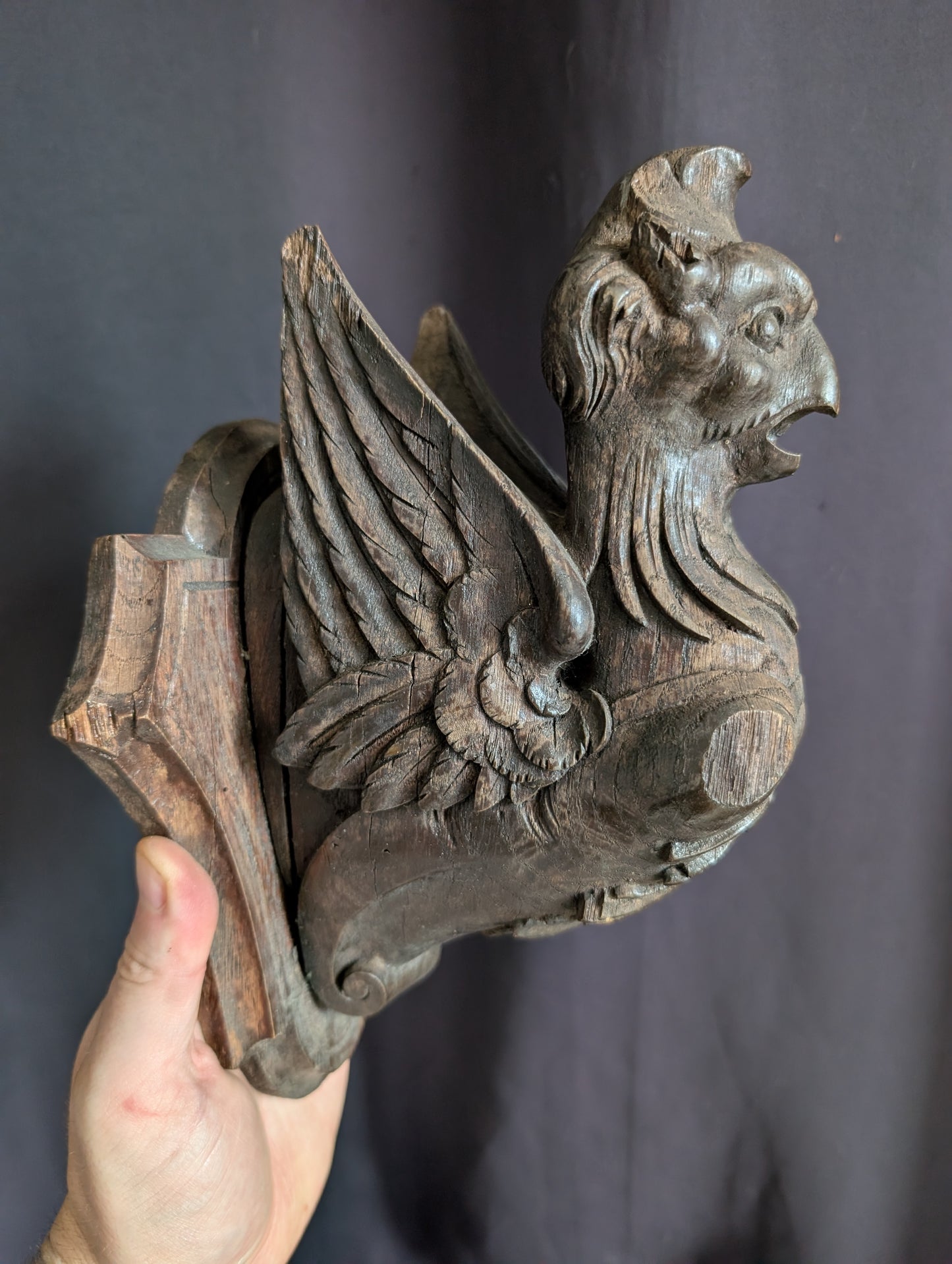 A Pair of Mid-19th Century Carved Wooden Manor Griffins with a Skull and Humerus from an old cabinet of curiosities in Bohemia (Czech Republic)