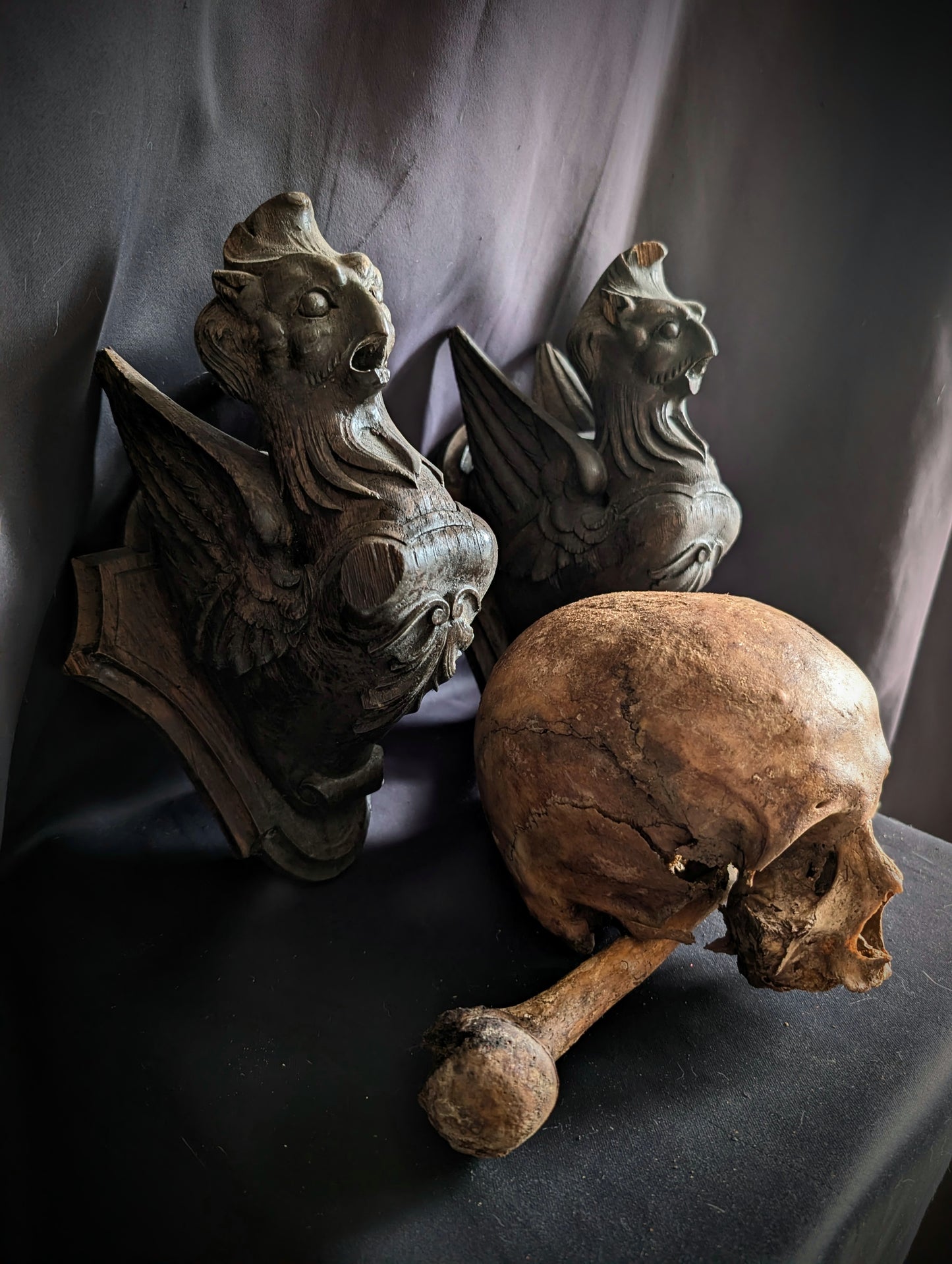 A Pair of Mid-19th Century Carved Wooden Manor Griffins with a Skull and Humerus from an old cabinet of curiosities in Bohemia (Czech Republic)