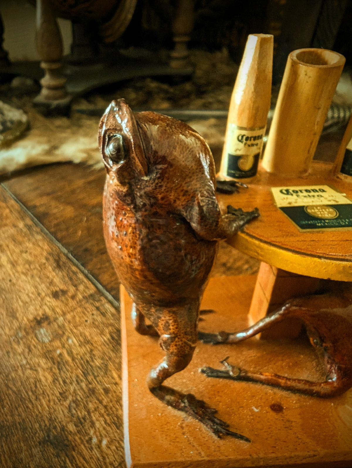 Vintage Frogs Drinking Scene  taxidermy / Never trust a frog with your beer !