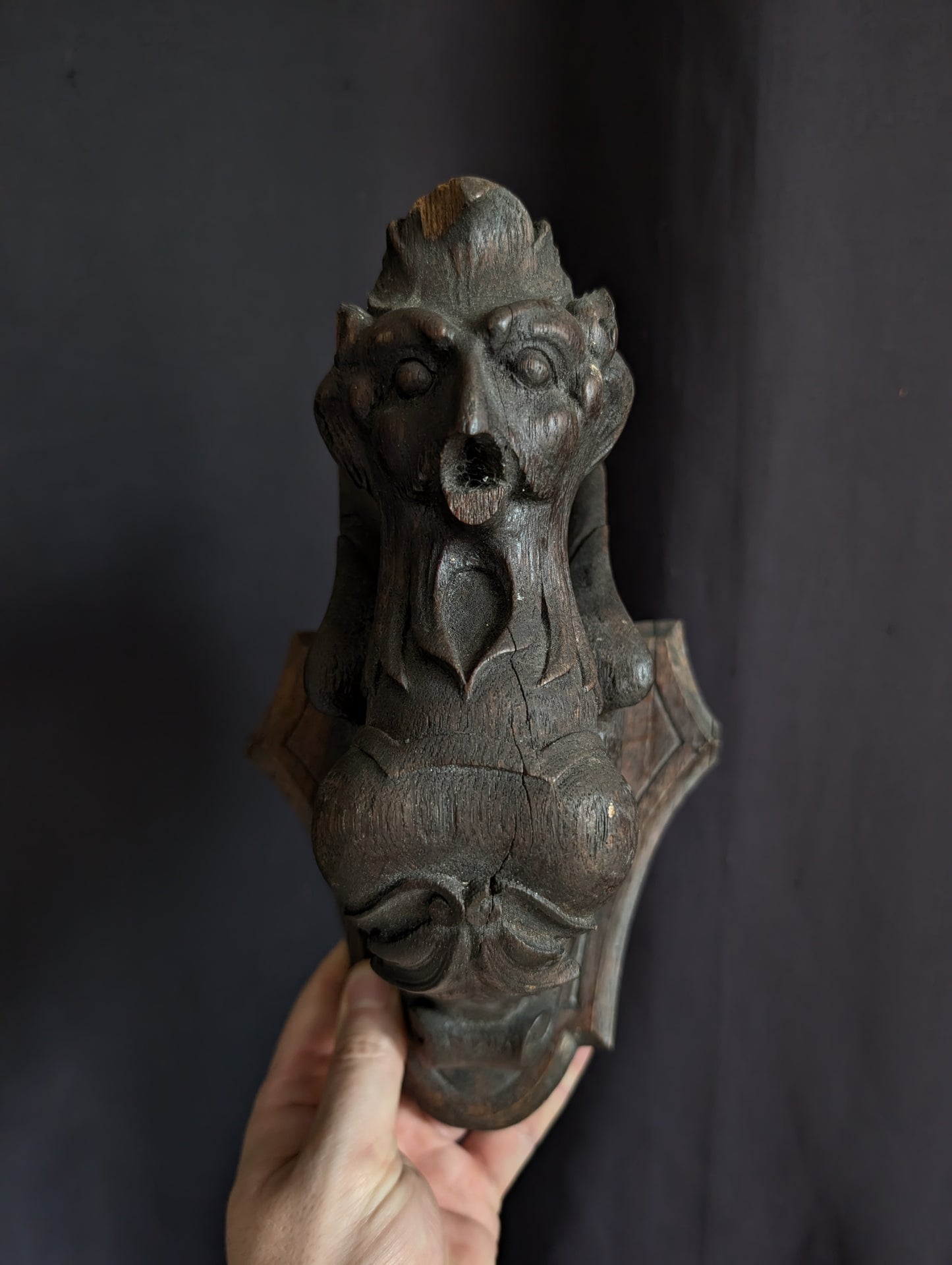 A Pair of Mid-19th Century Carved Wooden Manor Griffins with a Skull and Humerus from an old cabinet of curiosities in Bohemia (Czech Republic)