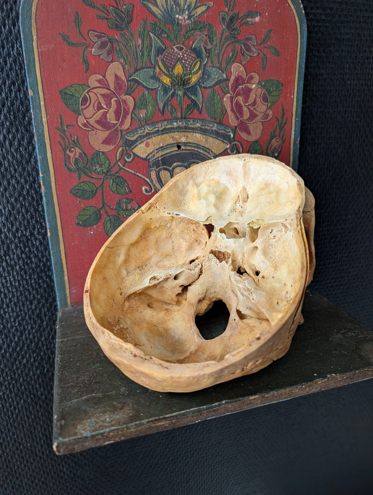 Sectioned skull from a private collection belonging to a doctor in Germany, 1915. Displayed on an antique Alpine folk art painted wooden wall shelf (Bauernmalerei)