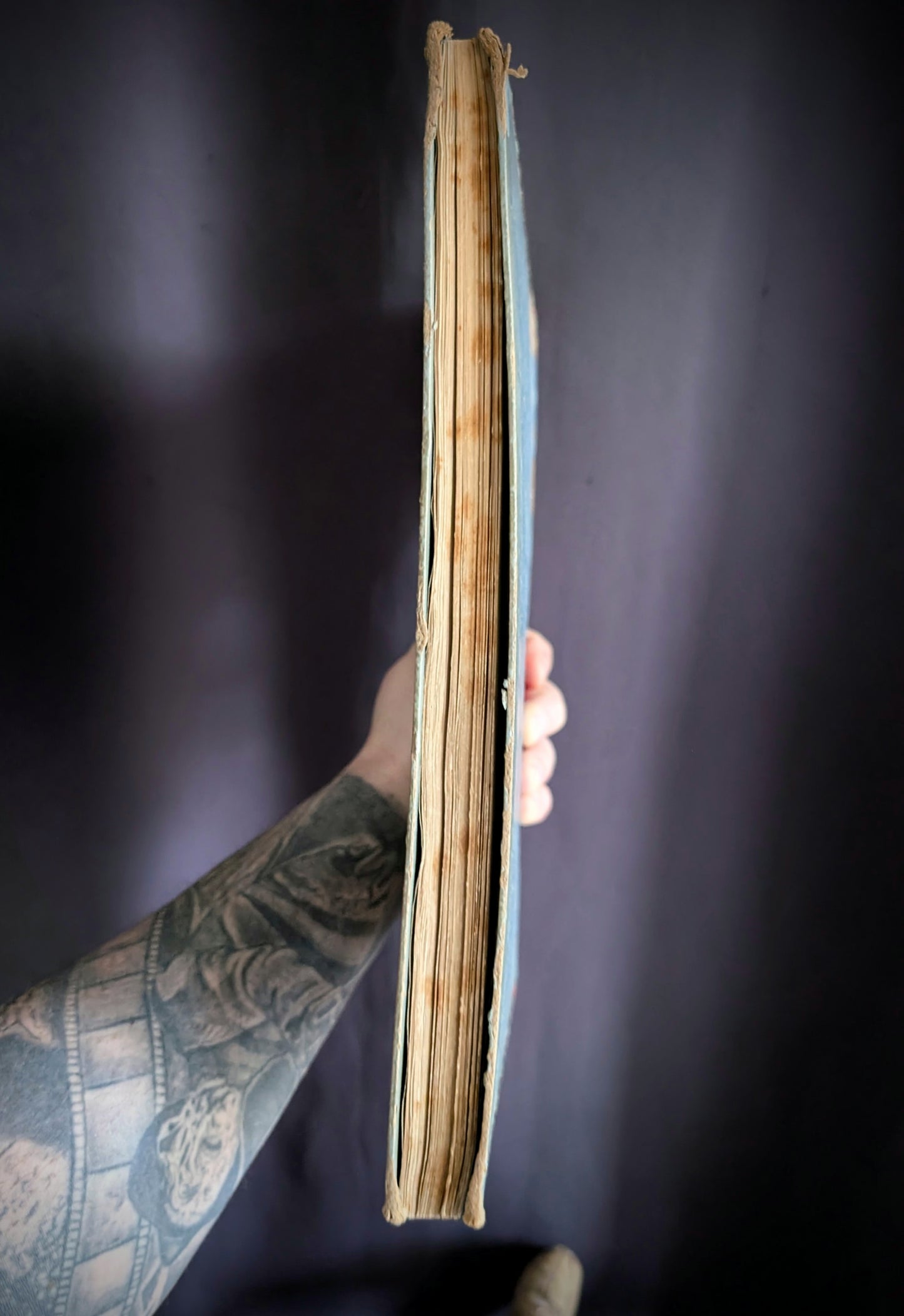 Old German book from 1886 "Naturgeschichte der Reptilien, Amphibien, Fische, Insekten.." by Dr Schubert