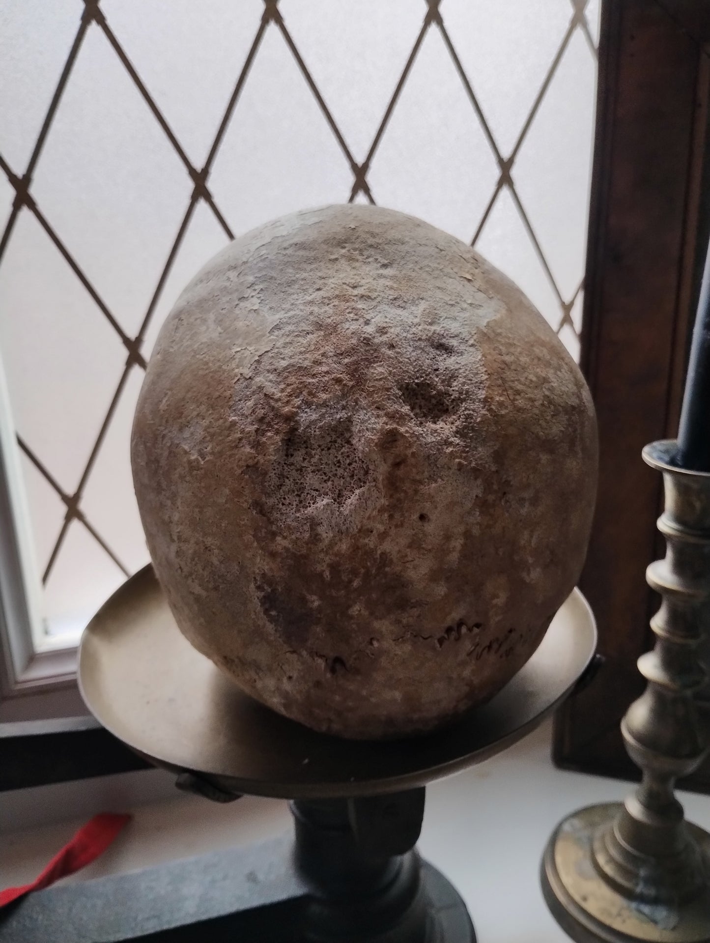 Old skull with Eagle Syndrom