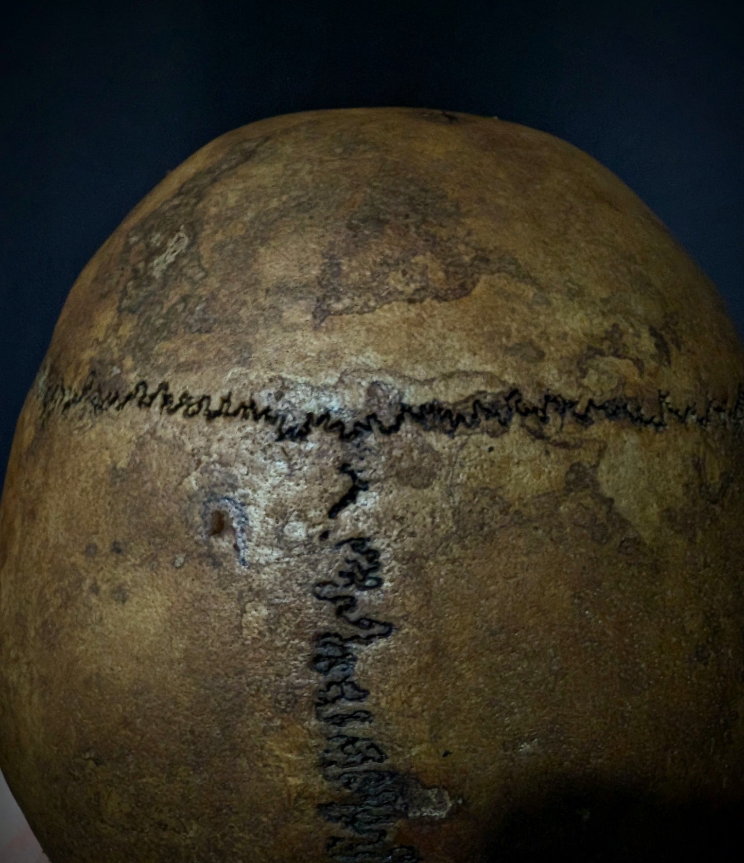 Memento mori skull with femurs (with dark patina) from Italy