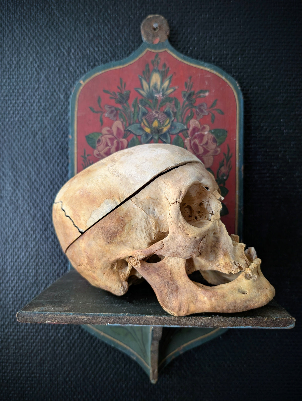 Sectioned skull from a private collection belonging to a doctor in Germany, 1915. Displayed on an antique Alpine folk art painted wooden wall shelf (Bauernmalerei)