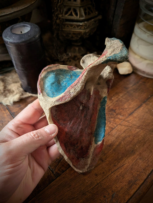 Antique medical Scapula From late 19th with original painting