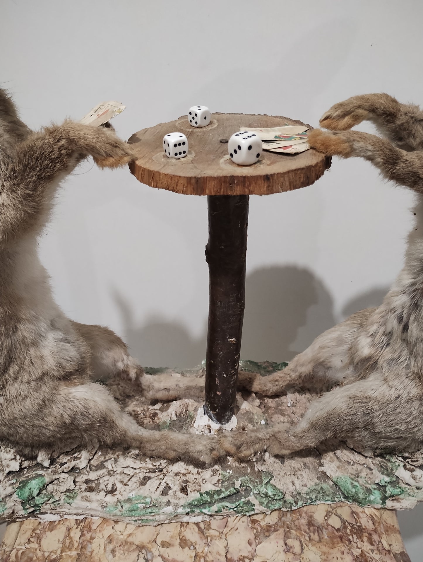 Antique Taxidermy of Rabbits