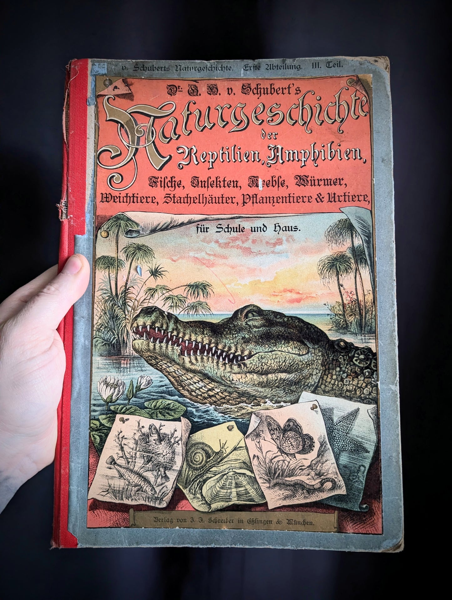Old German book from 1886 "Naturgeschichte der Reptilien, Amphibien, Fische, Insekten.." by Dr Schubert