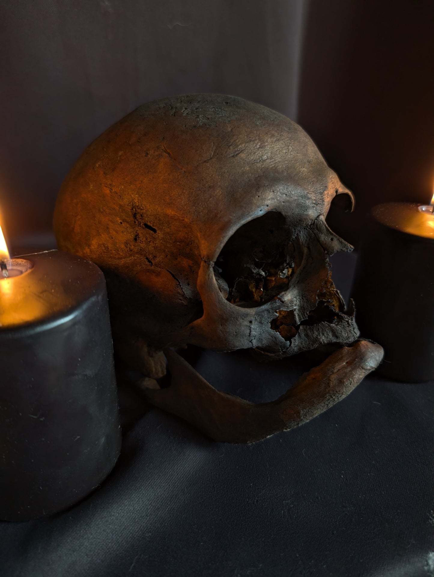 Antique geriatric skull with a dark patina, 19th century