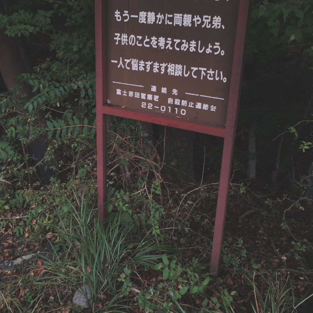 Rope from the Suicide Forest Aokigahara (Japan)