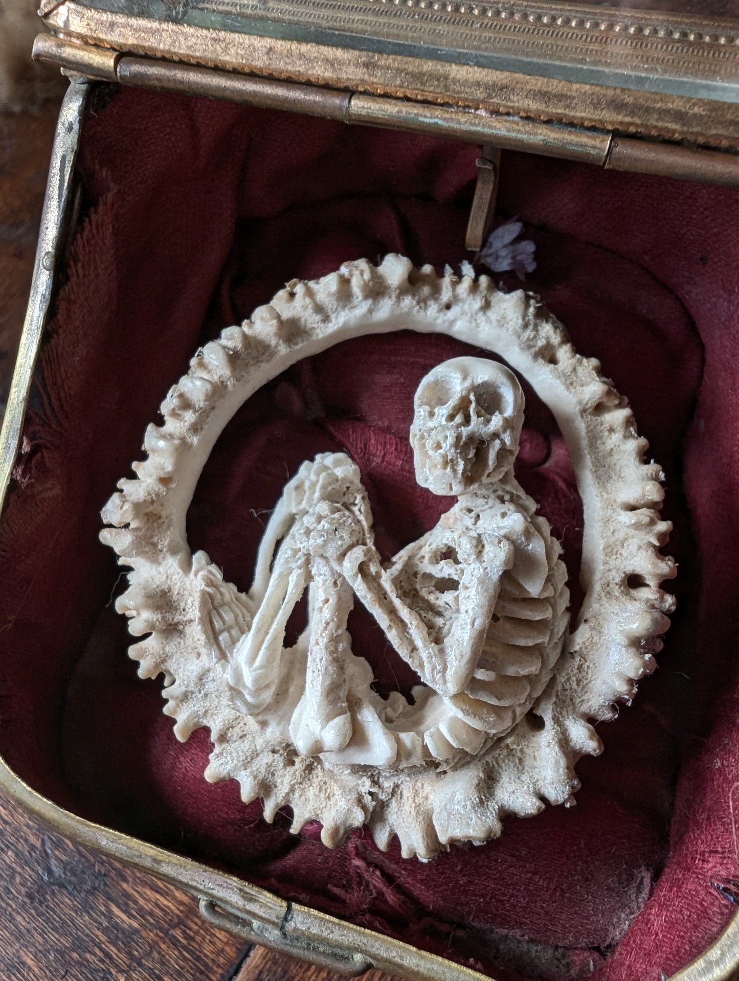 Memento mori / Hand-Carved Skeleton Figure in Deer Antler – Antique Glass Display Casket