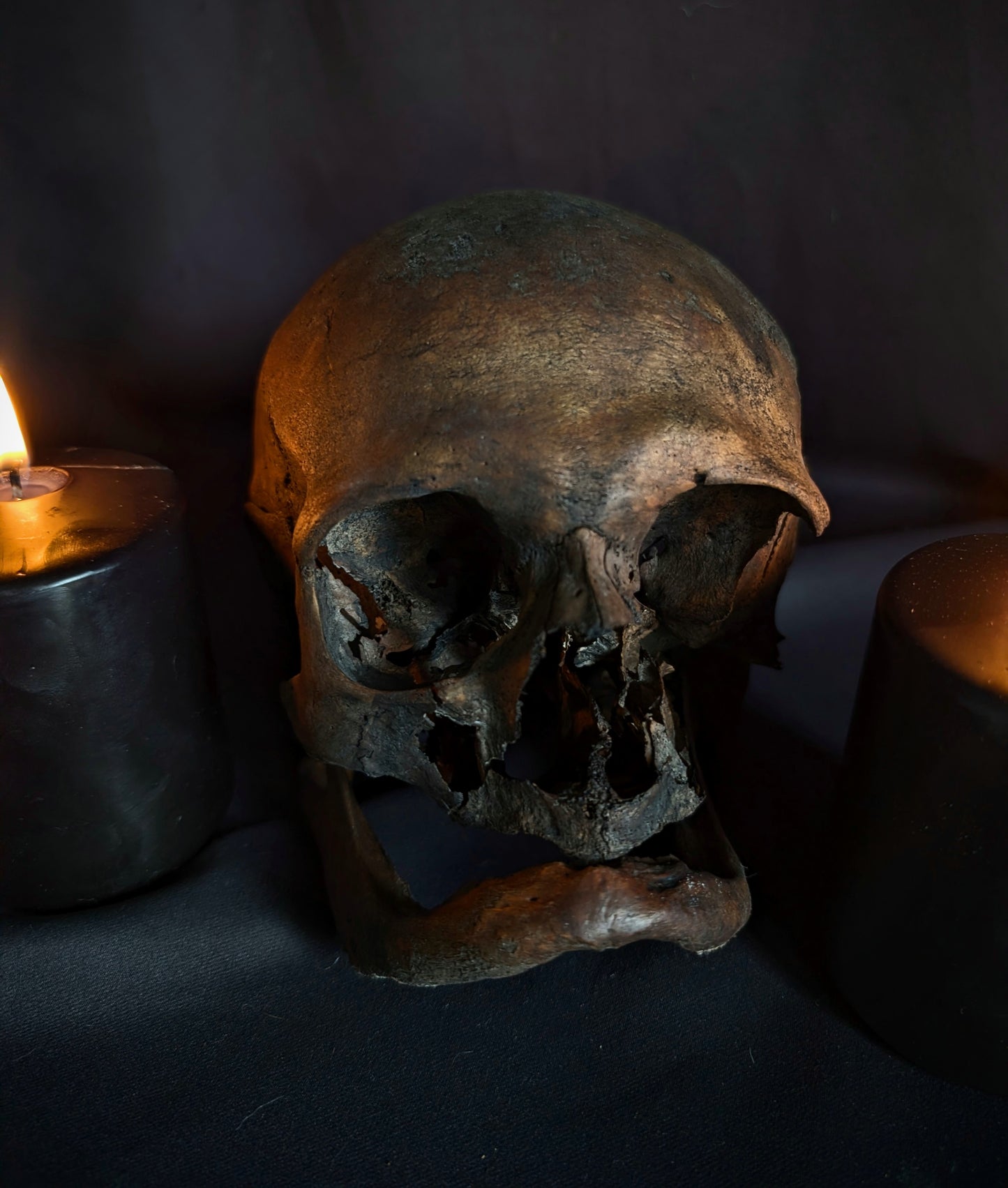 Antique geriatric skull with a dark patina, 19th century
