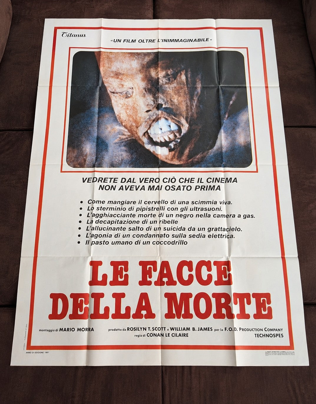 Rare Original 1981 Italian Movie Poster  "Le Facce della Morte" (Faces of Death, 1978) Mondo/Shockumentary  (100 × 140 cm)