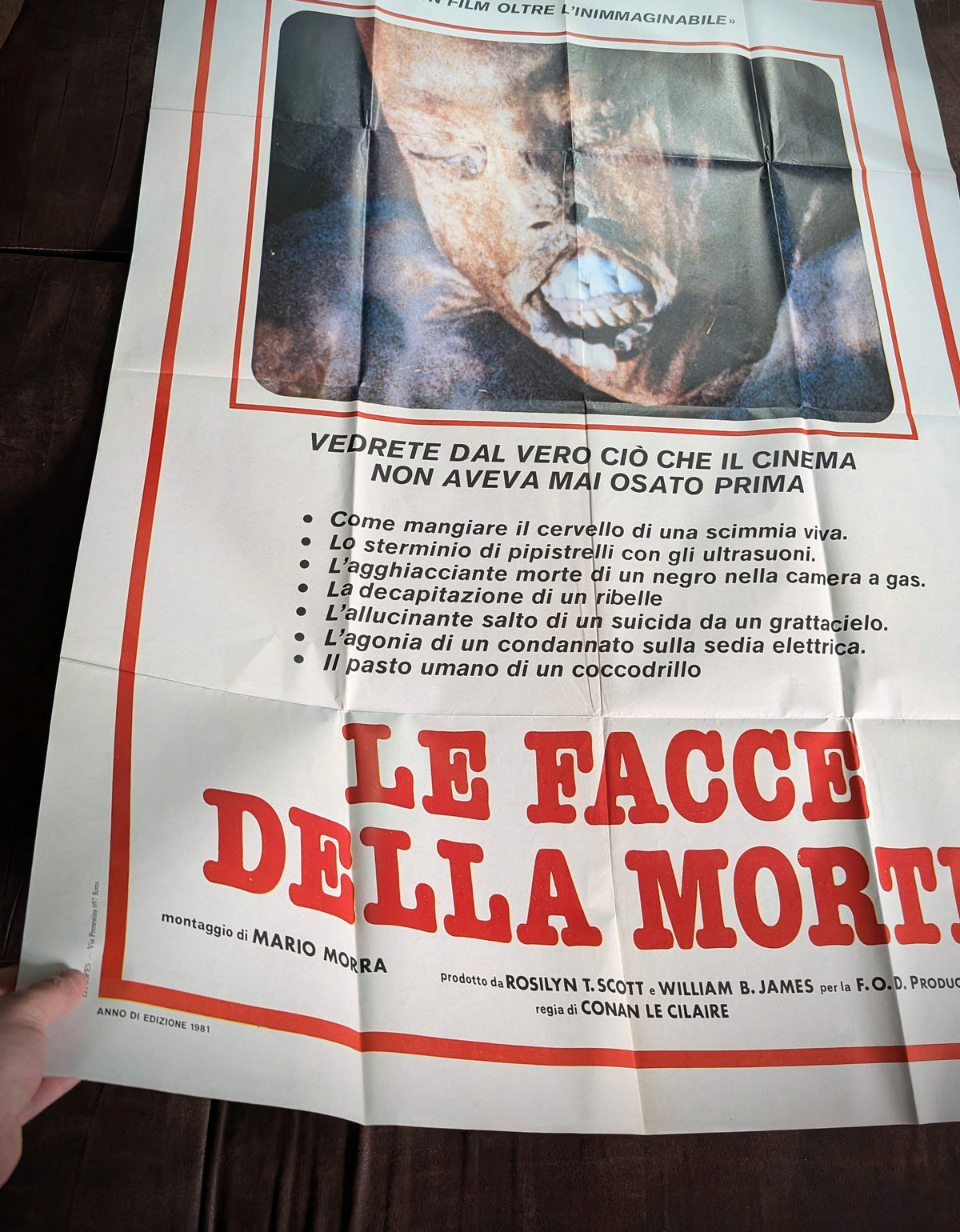 Rare Original 1981 Italian Movie Poster  "Le Facce della Morte" (Faces of Death, 1978) Mondo/Shockumentary  (100 × 140 cm)