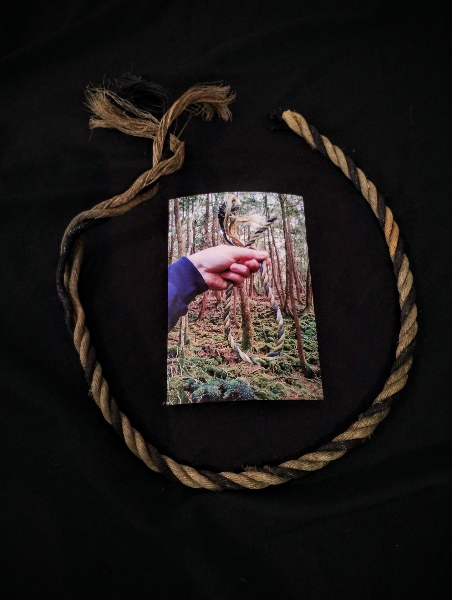 Rope from the Suicide Forest Aokigahara (Japan)