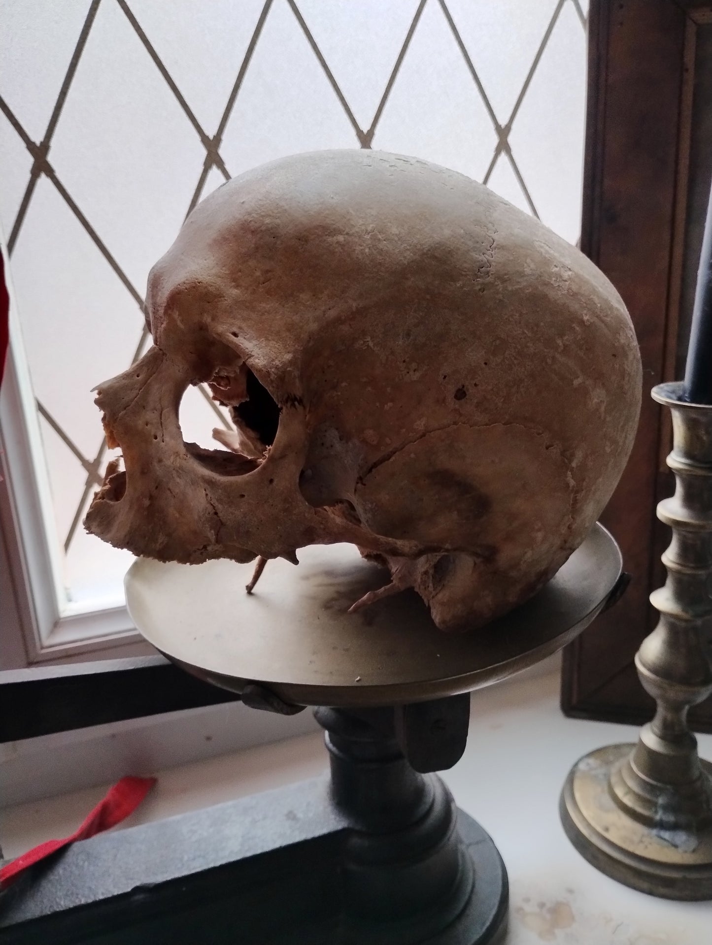 Old skull with Eagle Syndrom