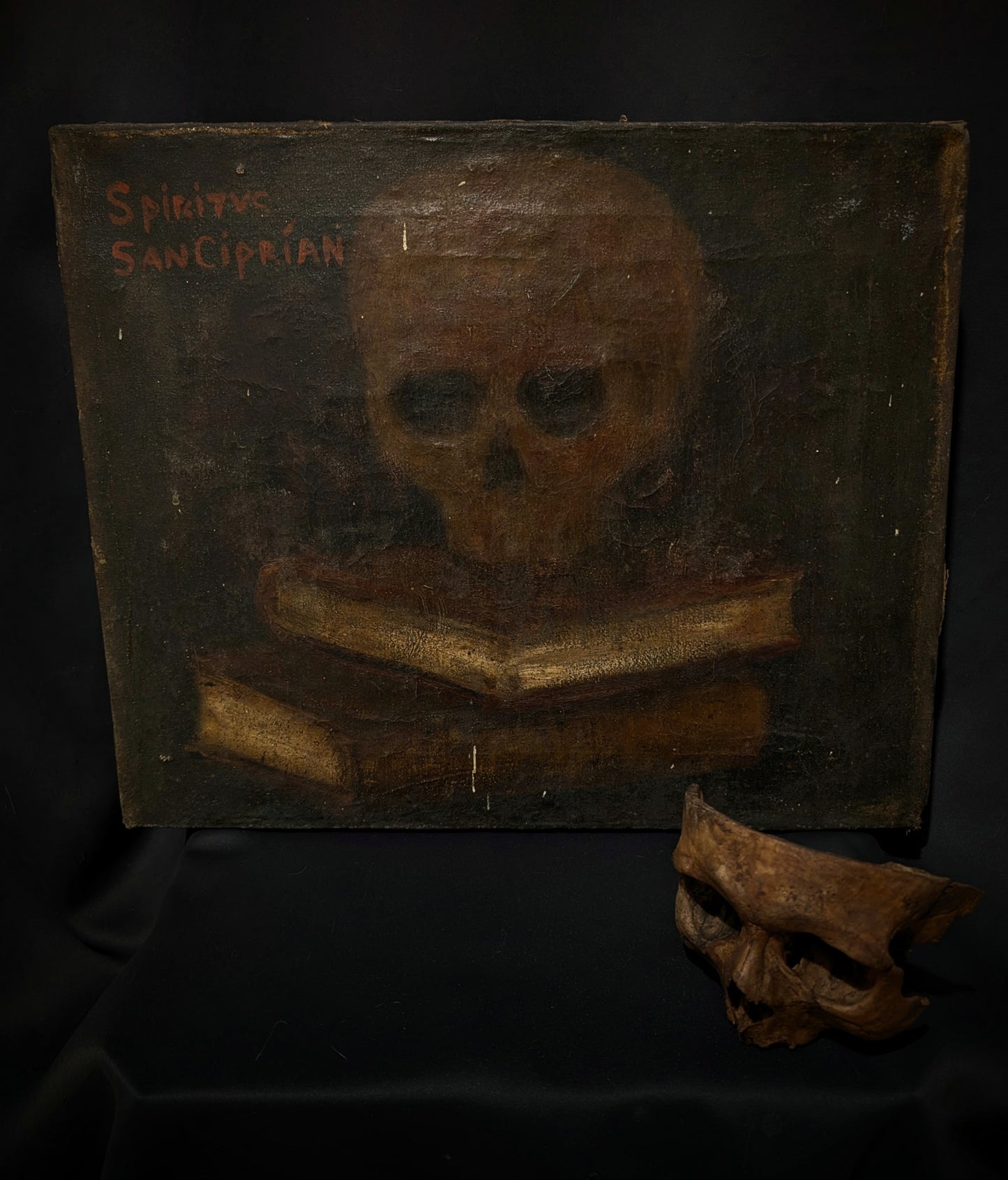 Old Memento Mori painting from 1700's ! (St Cyprien skull, franciscan monastery in Peru)