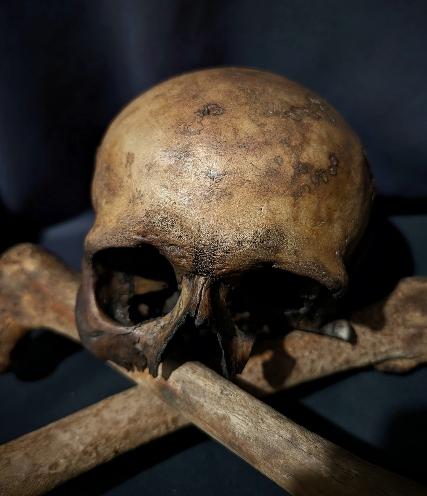 Memento mori skull with femurs (with dark patina) from Italy