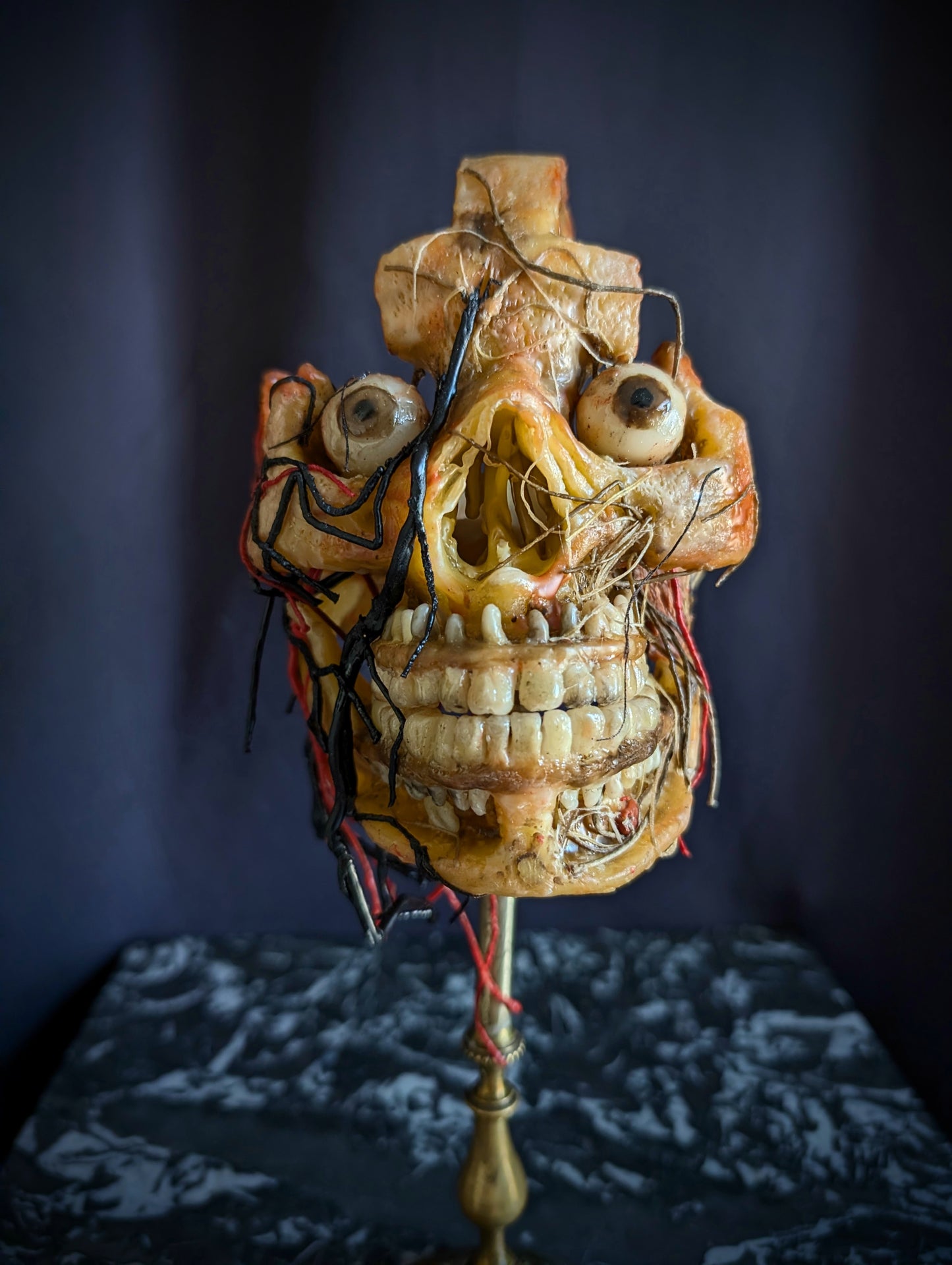 Original mid-20th century anatomical Wax head (Rare !)