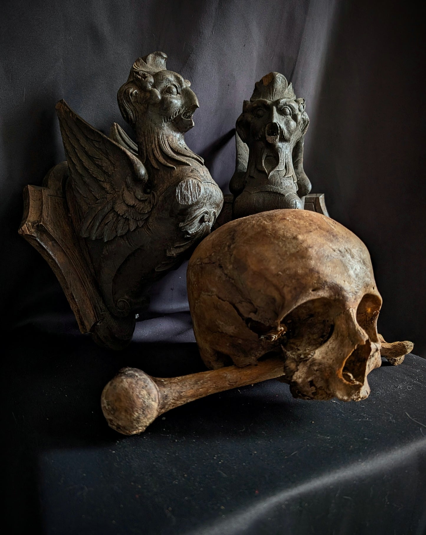 A Pair of Mid-19th Century Carved Wooden Manor Griffins with a Skull and Humerus from an old cabinet of curiosities in Bohemia (Czech Republic)