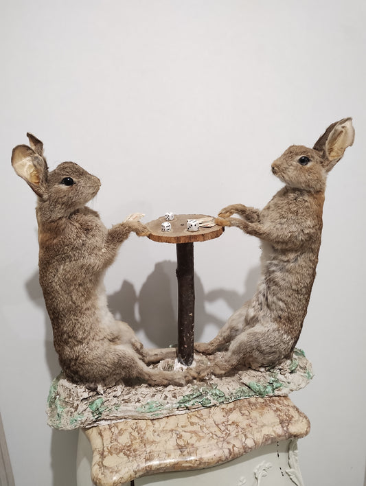 Antique Taxidermy of Rabbits