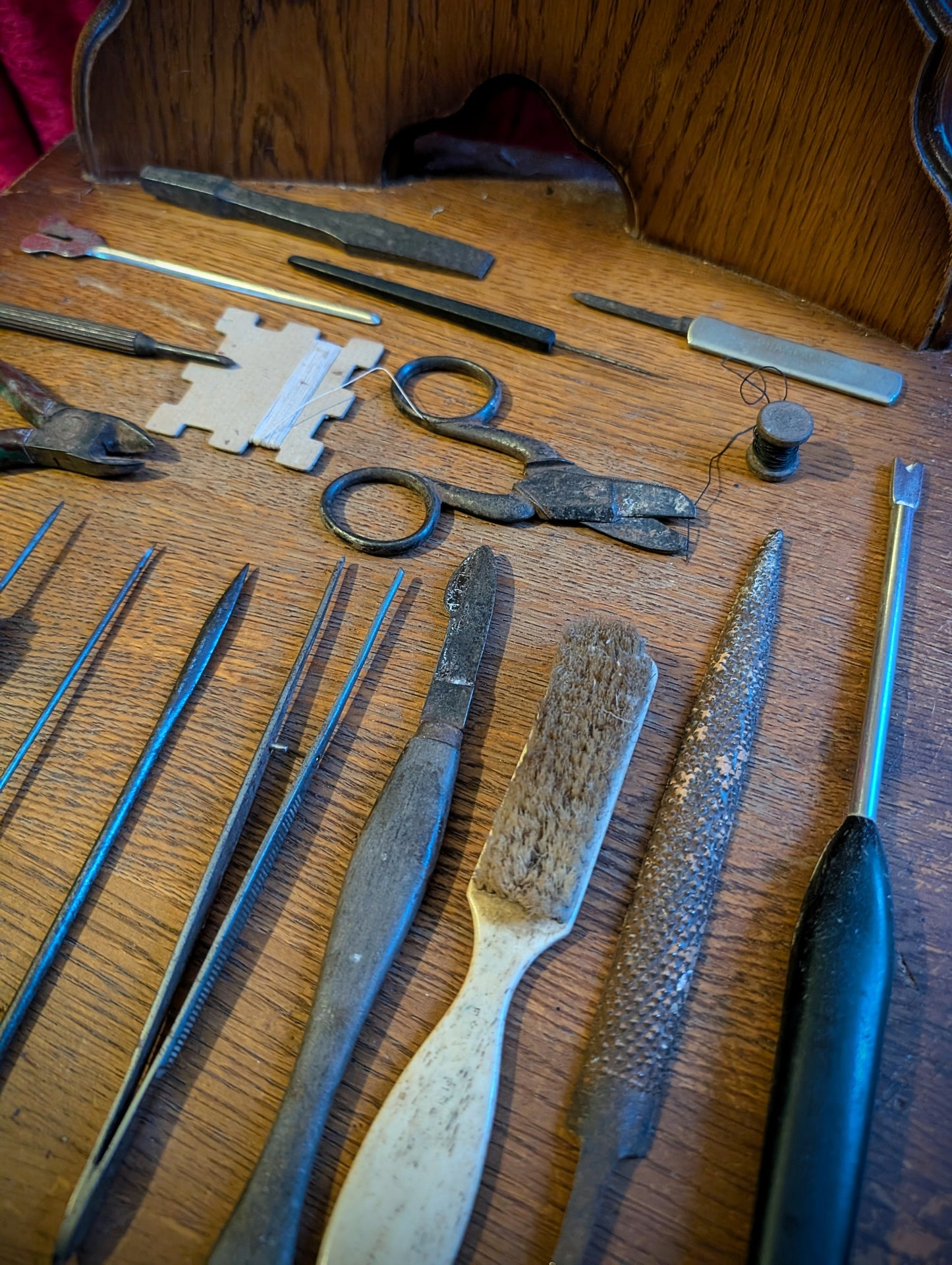 Set of antique Taxidermist tools from the 1970s (Set #1)