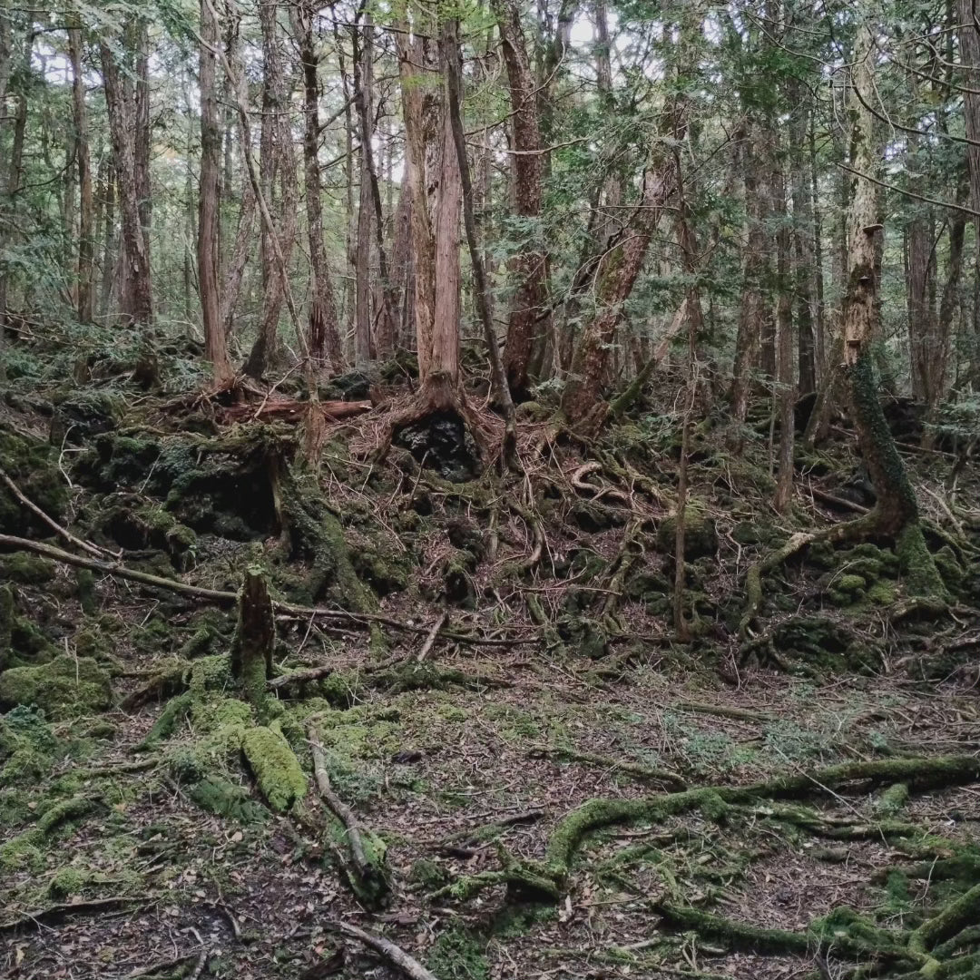 1 meter of white string from the Suicide Forest Aokigahara in Japan