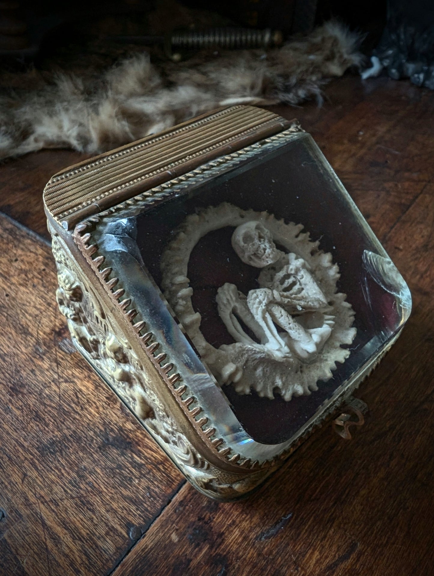 Memento mori / Hand-Carved Skeleton Figure in Deer Antler – Antique Glass Display Casket