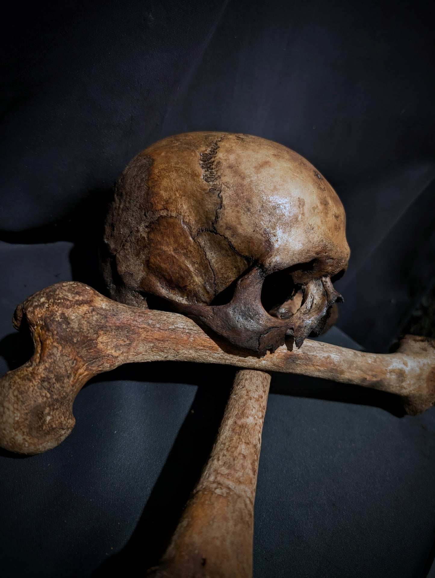 Memento mori skull with femurs (with dark patina) from Italy