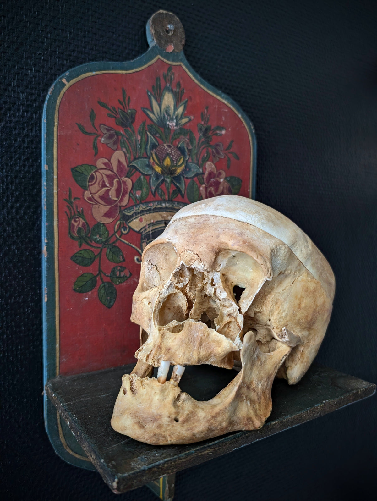 Sectioned skull from a private collection belonging to a doctor in Germany, 1915. Displayed on an antique Alpine folk art painted wooden wall shelf (Bauernmalerei)