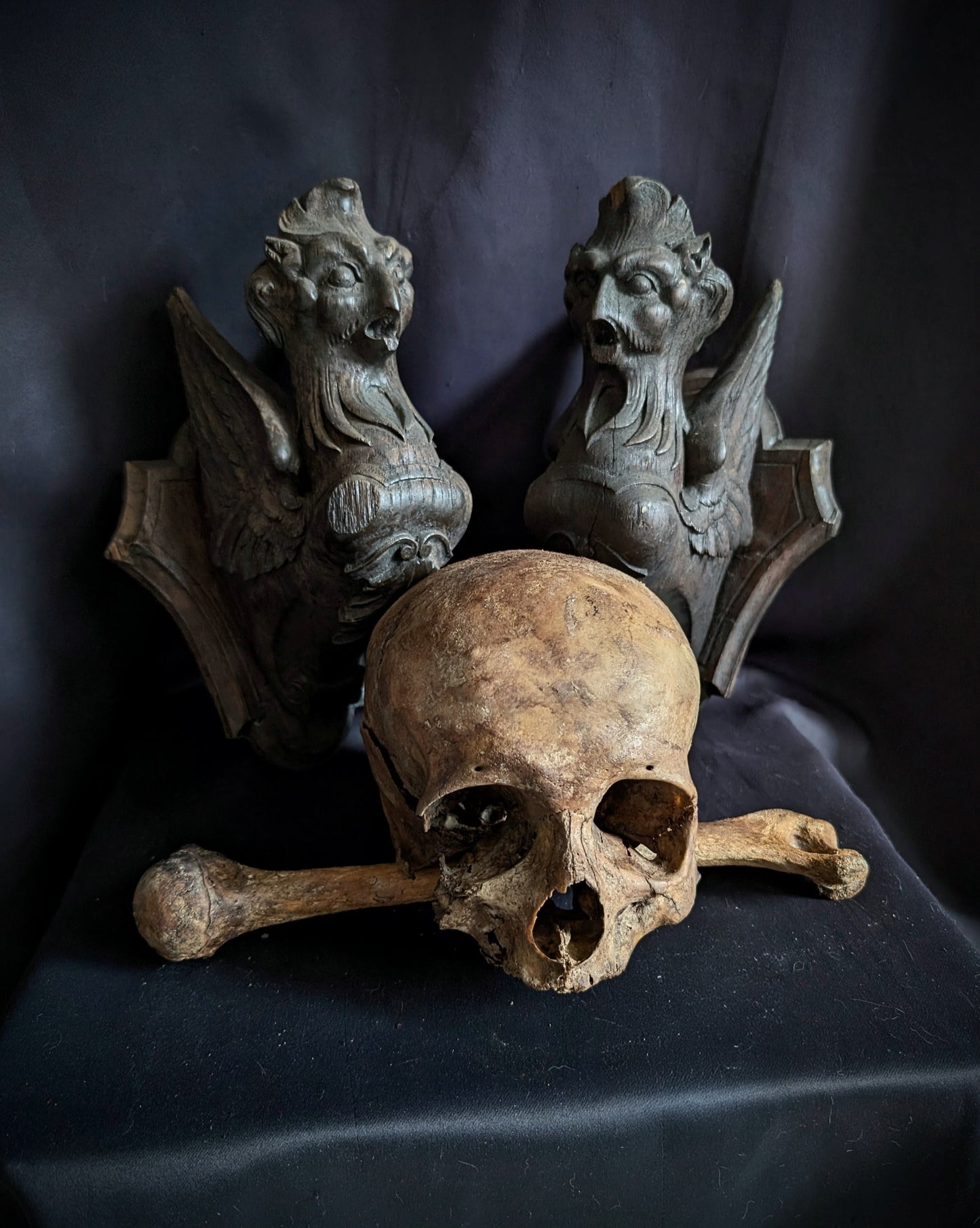 A Pair of Mid-19th Century Carved Wooden Manor Griffins with a Skull and Humerus from an old cabinet of curiosities in Bohemia (Czech Republic)