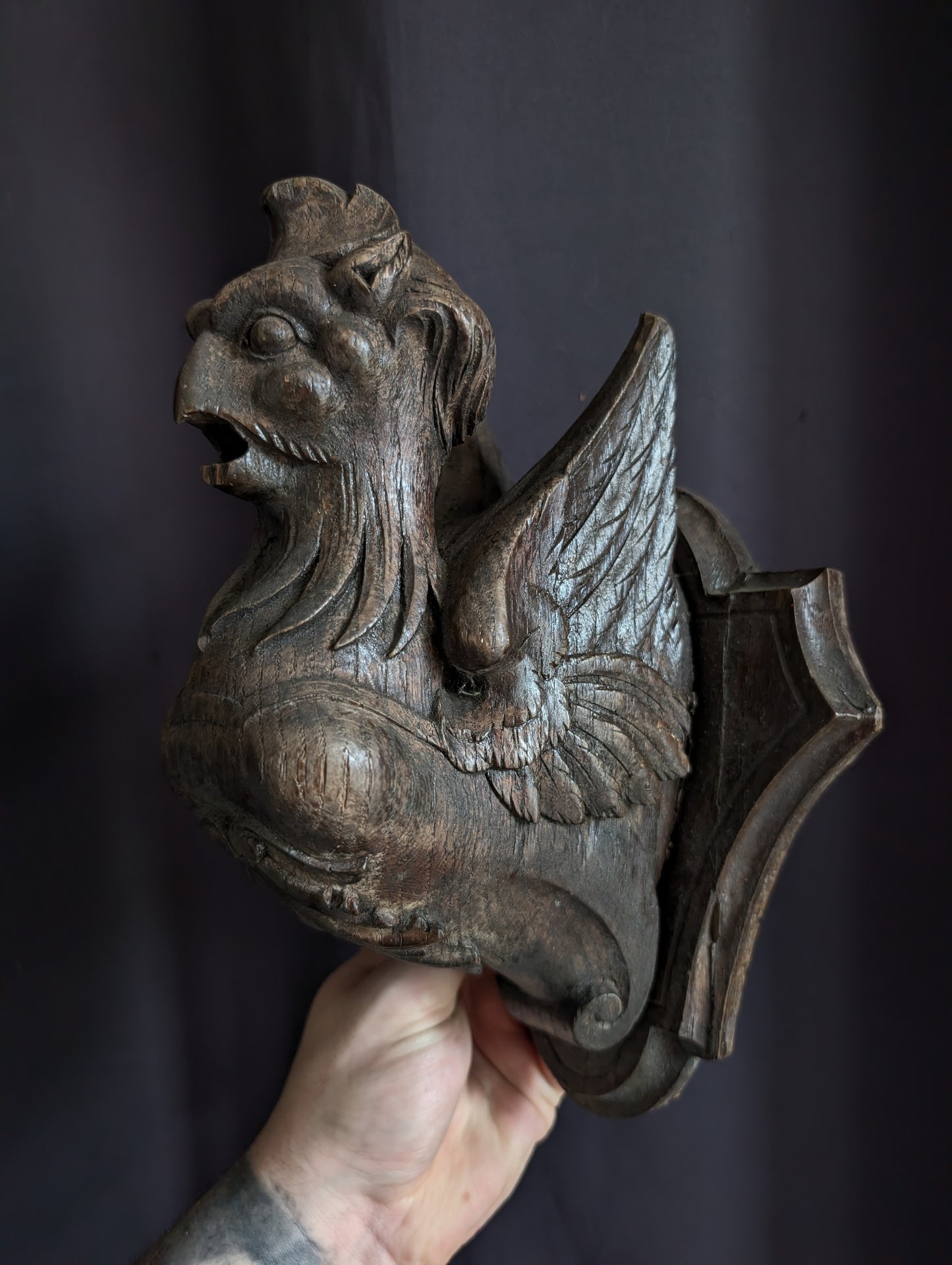 A Pair of Mid-19th Century Carved Wooden Manor Griffins with a Skull and Humerus from an old cabinet of curiosities in Bohemia (Czech Republic)